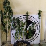 Συνελήφθη 47χρονος στην Καστοριά για καλλιέργεια 7 δενδρυλλίων κάνναβης