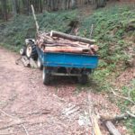 Ολοκληρώθηκε η συλλογή κατακείμενων ξύλων στο λόφο Αγίου Παντελεήμονα από δημότες του Δήμου Φλώρινας