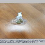Στο πλαίσιο συνεχιζόμενων δράσεων για την καταπολέμηση της διάδοσης των ναρκωτικών στη Δυτική Μακεδονία, συνελήφθησαν συνολικά -5- άτομα
