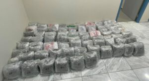 Κατασχέθηκαν πάνω από 76 κιλά ακατέργαστης κάνναβης, σε περιοχή της Κοζάνης, από αστυνομικούς της Υποδιεύθυνσης Δίωξης και Εξιχνίασης Εγκλημάτων Καστοριάς